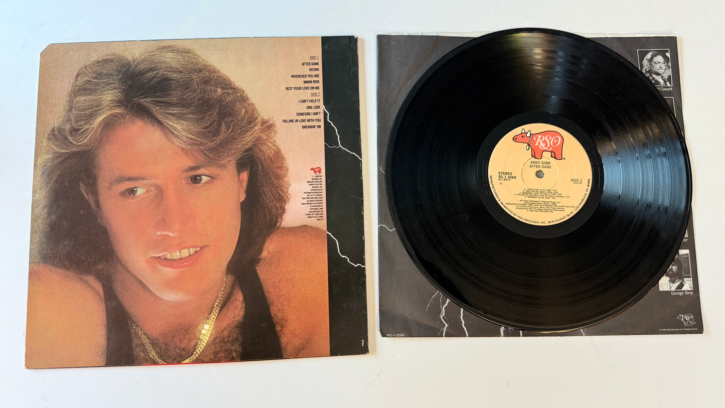 Andy Gibb After Dark Used Vinyl LP VG+\VG