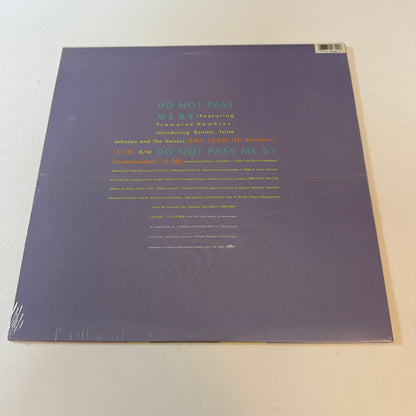MC Hammer Do Not Pass Me By Used Vinyl LP M\NM