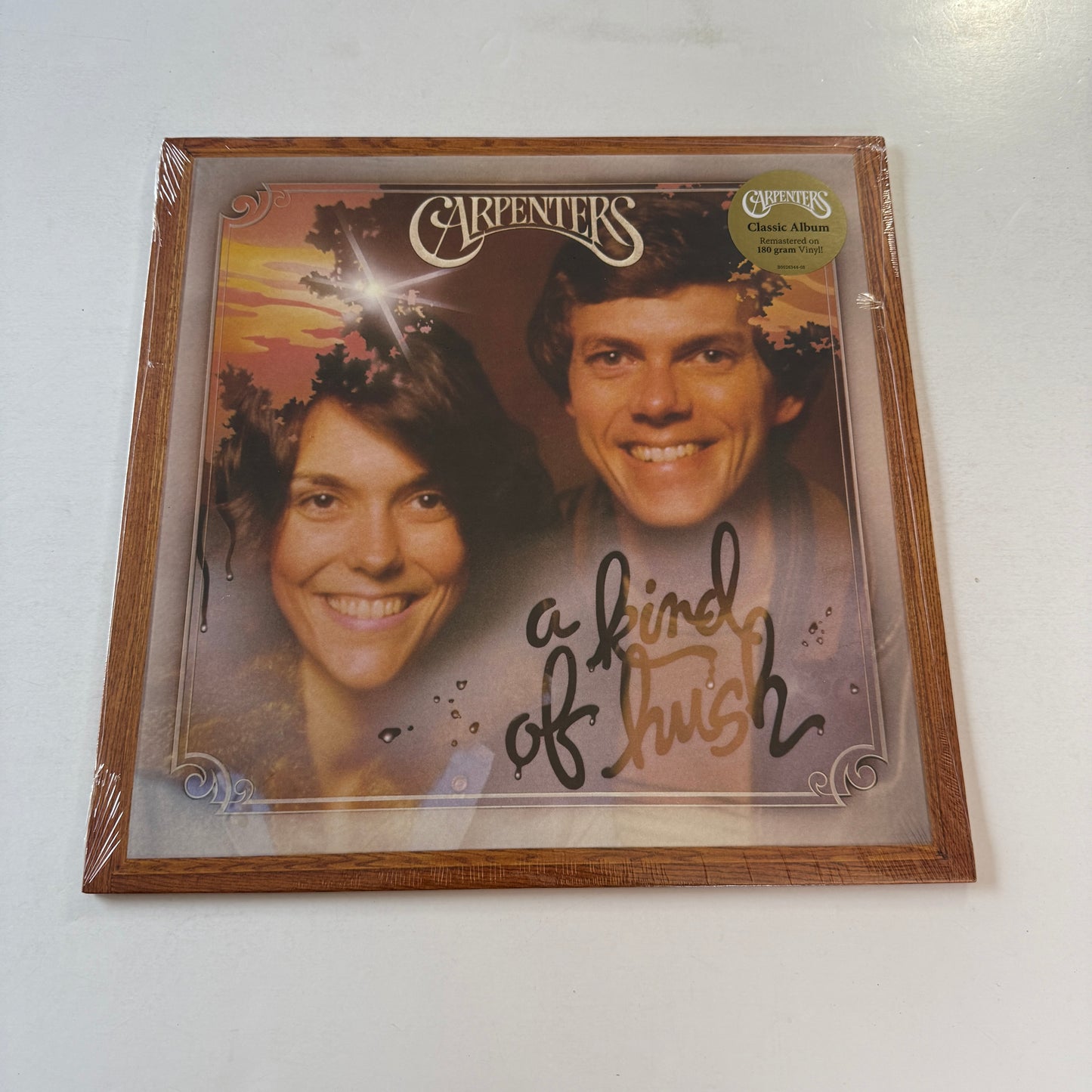 Carpenters A Kind Of Hush New 180 Gram Vinyl LP M\M