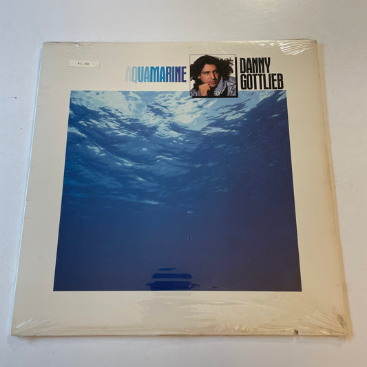 Danny Gottlieb Aquamarine Used Vinyl LP M\NM