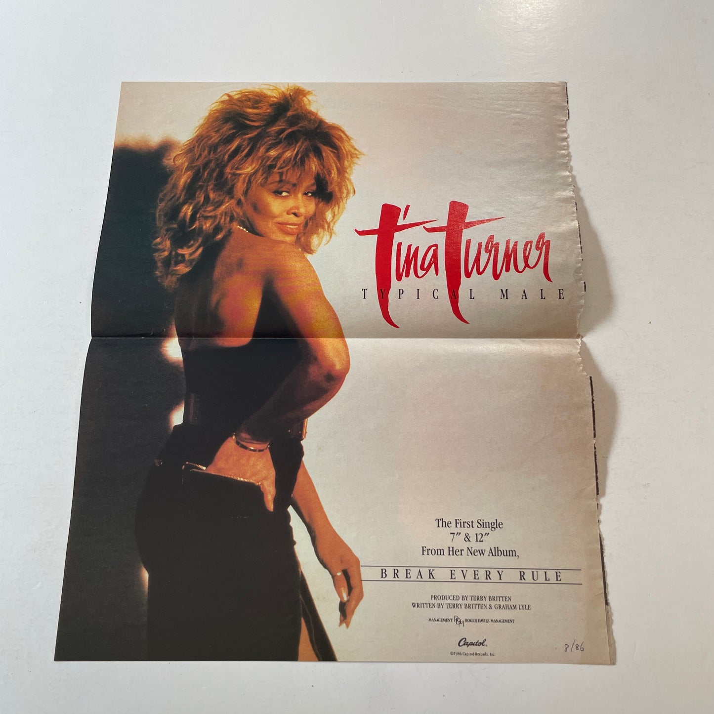 Tina Turner Break Every Rule Used Vinyl LP VG+\VG+