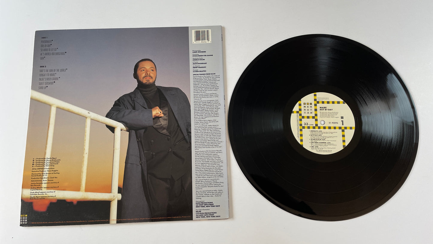 Najee Day By Day Used Vinyl LP VG+\VG+