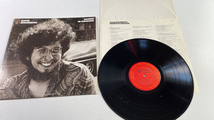 David Bromberg Demon In Disguise Used Vinyl LP VG+\VG+