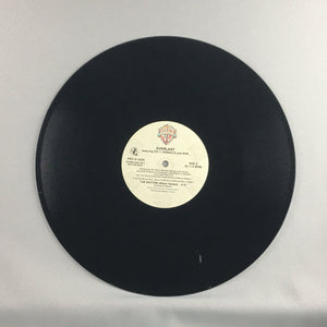 Everlast ‎ The Rhythm ICE-T 12" Used Vinyl Single VG+\VG+