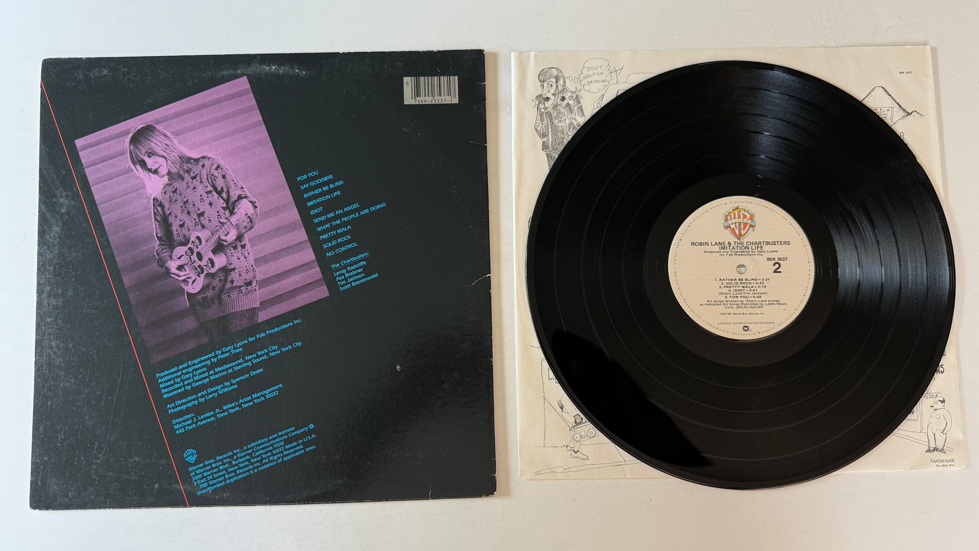 Robin Lane & The Chartbusters Imitation Life Used Vinyl LP VG+\VG