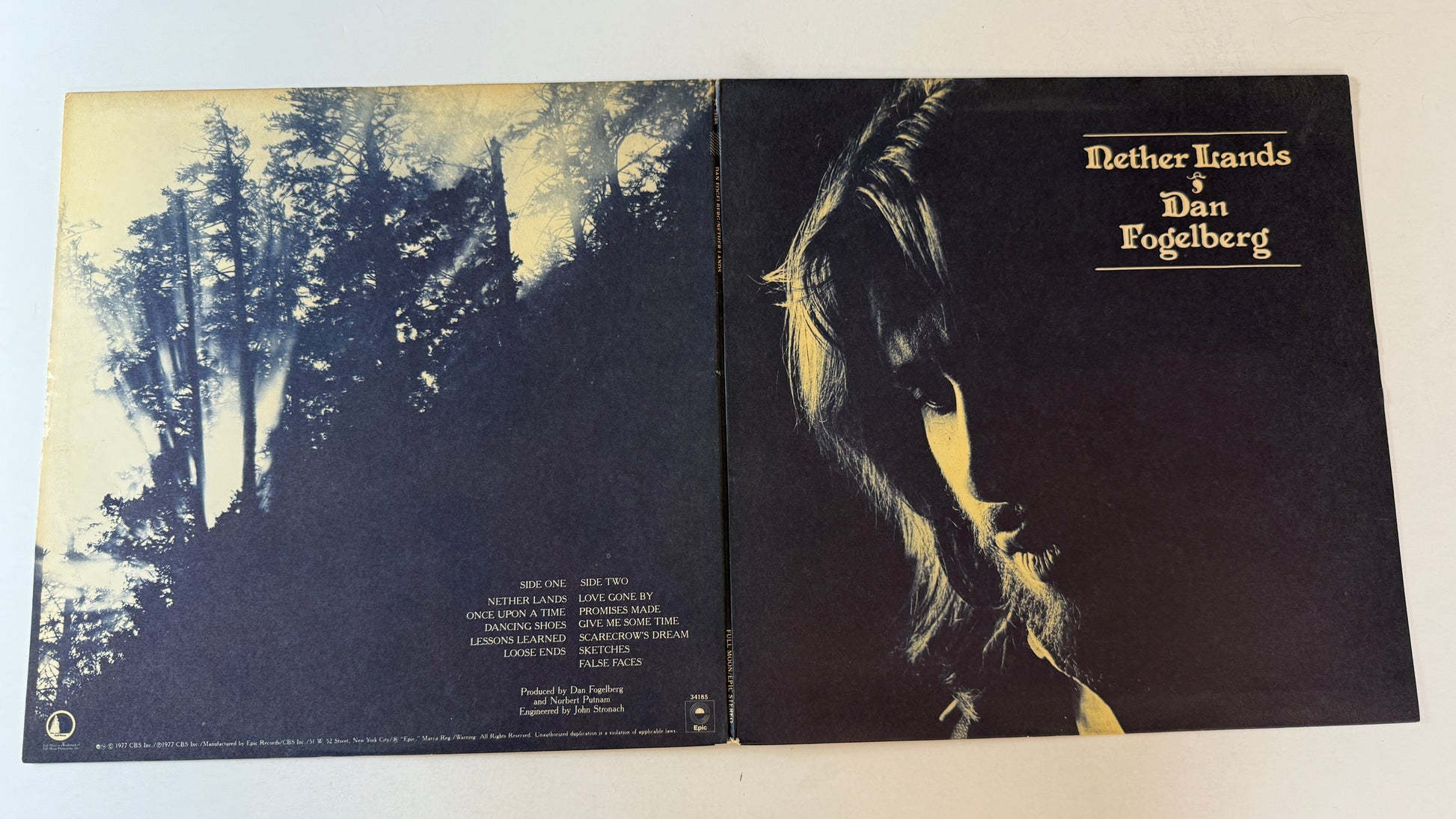 Dan Fogelberg Nether Lands Used Vinyl LP VG+\VG+