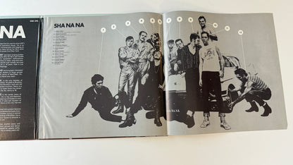Sha Na Na Rock & Roll Is Here To Stay! Used Vinyl LP VG+\VG