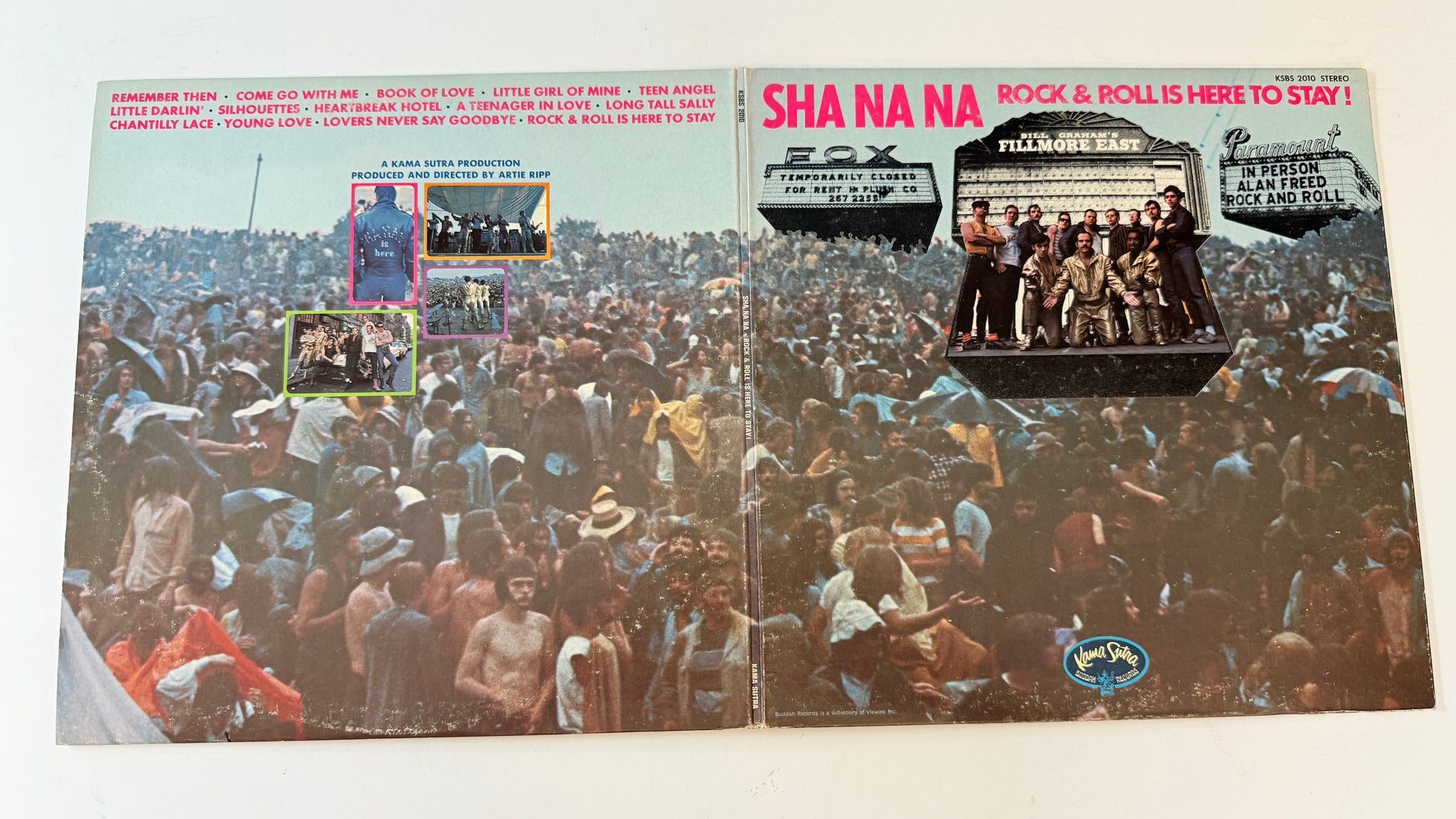 Sha Na Na Rock & Roll Is Here To Stay! Used Vinyl LP VG+\VG