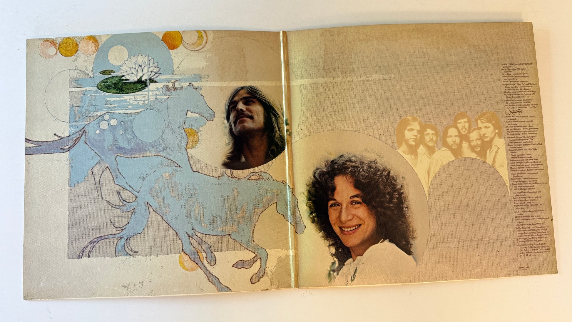 Carole King Simple Things Used Vinyl LP VG+\VG