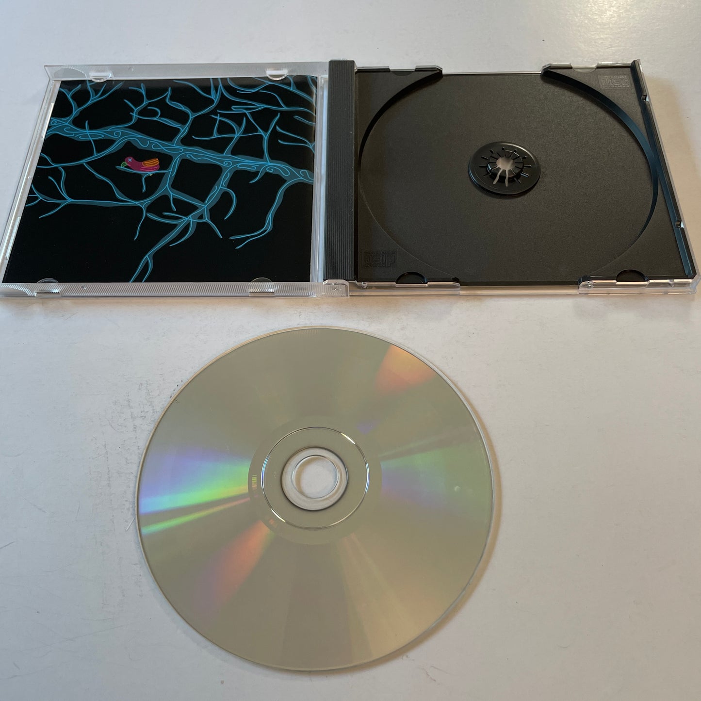 Tapes 'N Tapes The Loon Used CD VG+\VG+