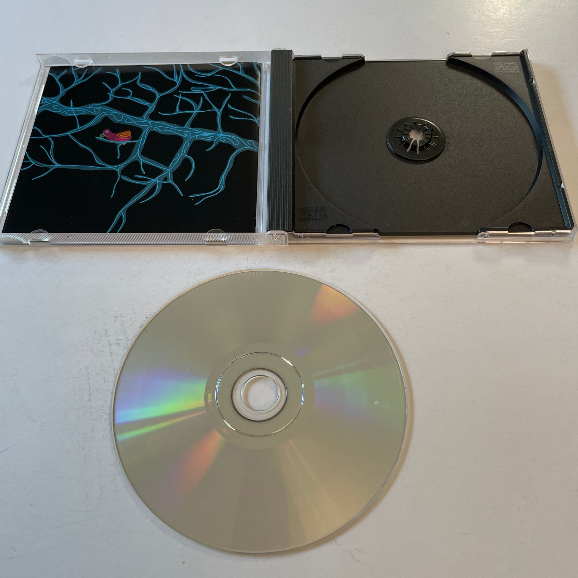 Tapes 'N Tapes The Loon Used CD VG+\VG+