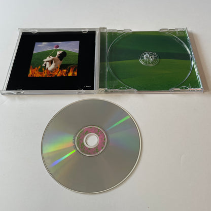 Paula Cole This Fire Used CD VG+\VG+