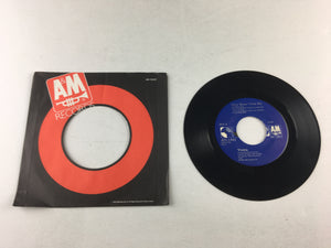 Vesta Williams How You Feel Used 45 RPM 7" Vinyl VG+\VG+